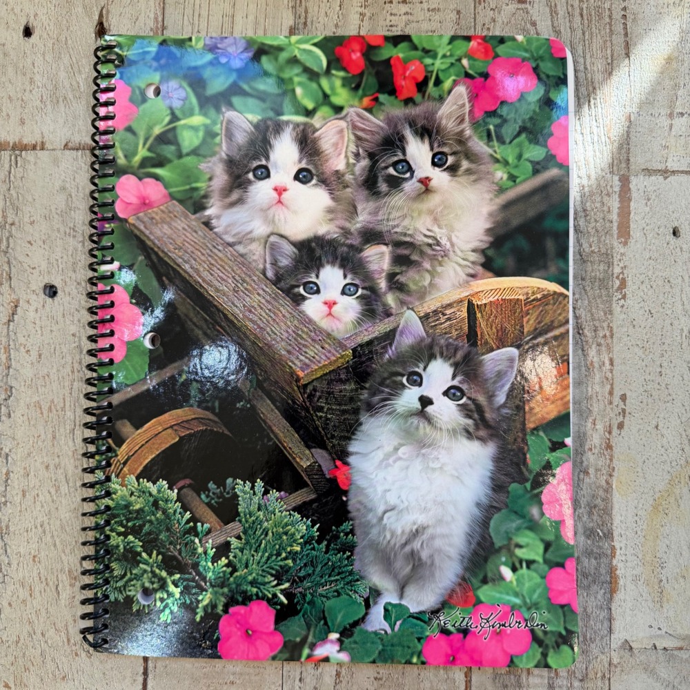 Keith Kimberlin Kitten Spiral Notebook Class Act 80 Sheets Cat Lover Cute Kawaii